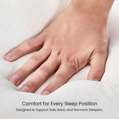 Deluxe Contour Support Pillow